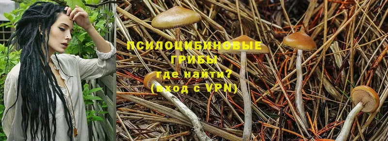 Галлюциногенные грибы GOLDEN TEACHER  Белорецк 